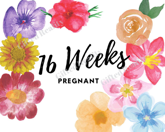 Pregnancy Progress Signs - floral [INSTANT DOWNLOAD]